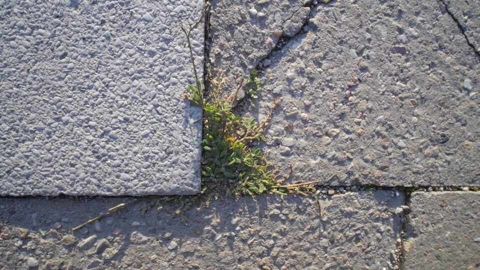 Nastal čas objavovať nové vrstvy komunikácie