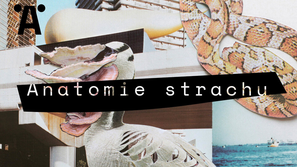 Největší síla je v prosté výpovědi