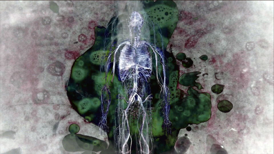 Nenechte si ujít na Ji.hlavě