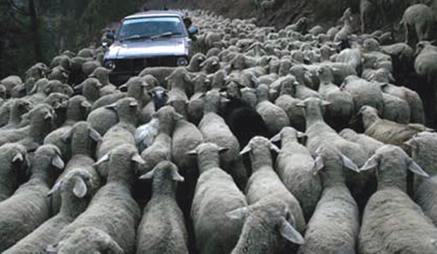 Netočit jako Babica