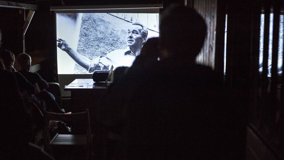 Normální surrealistický film