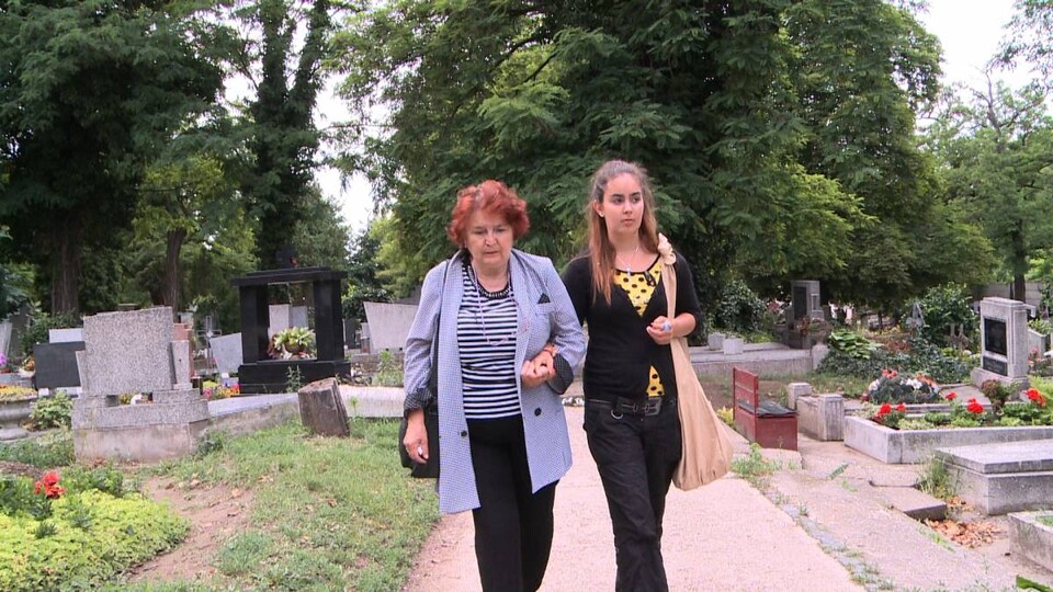 O číslach, viditeľnosti a Audiovizuálnom fonde