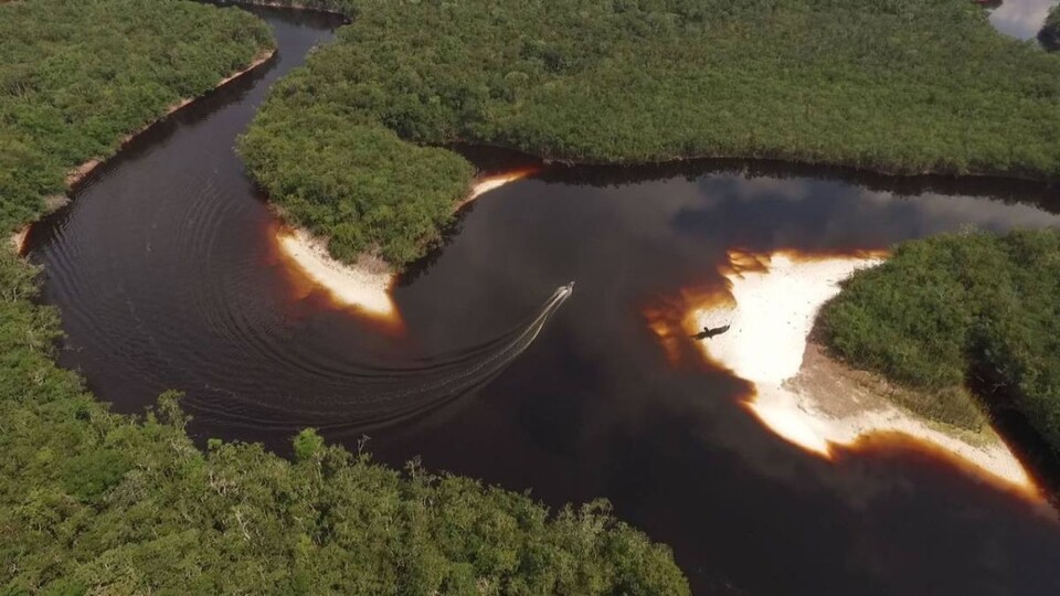 Po stopách opic uakari