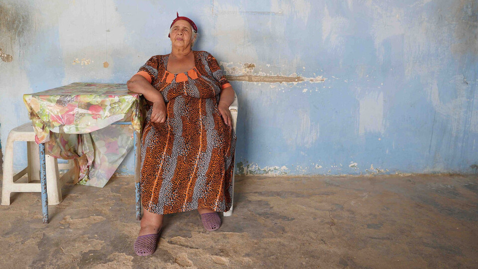 Pravdivé nepravdy Hassena Ferhaniho