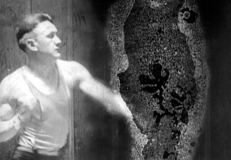 Průhledná bytost: Bill Morrison