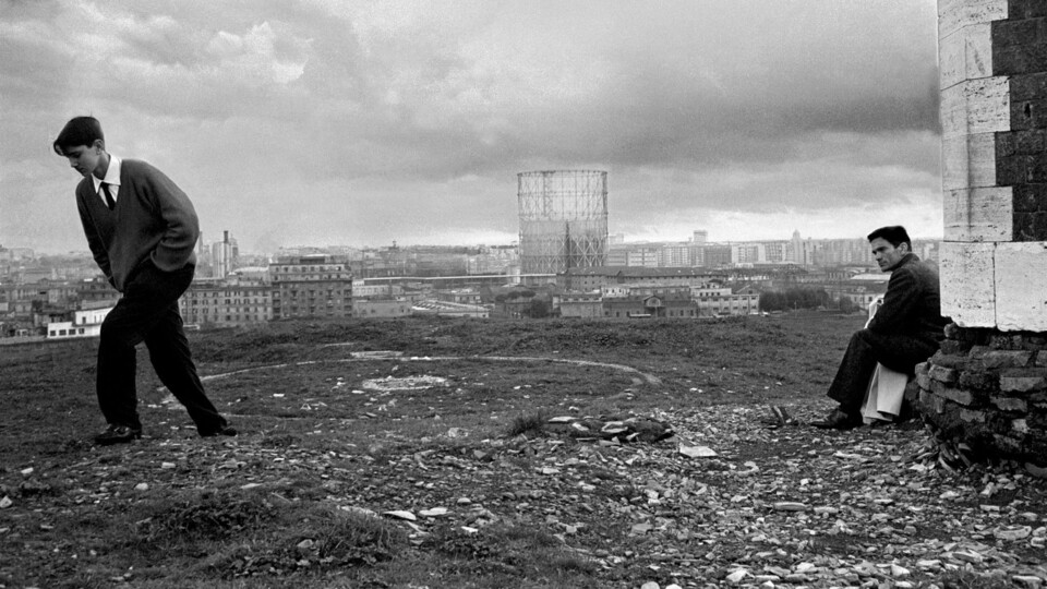 Sonet jako koníček