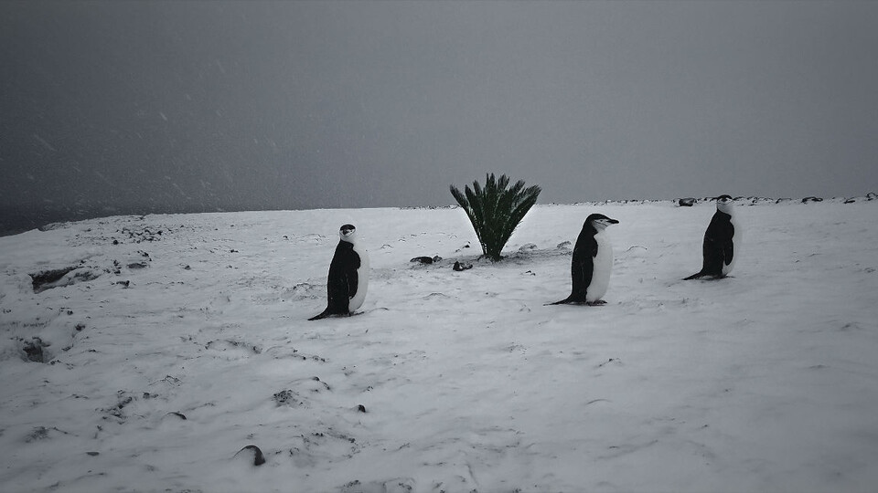Startovací rampa pro dokumenty z východu