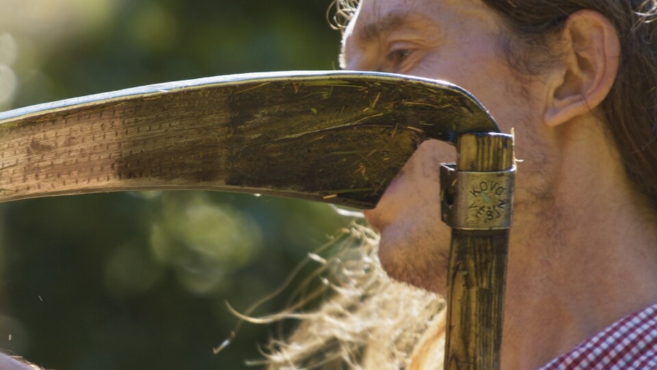 Tomáš Elšík. Při zemi