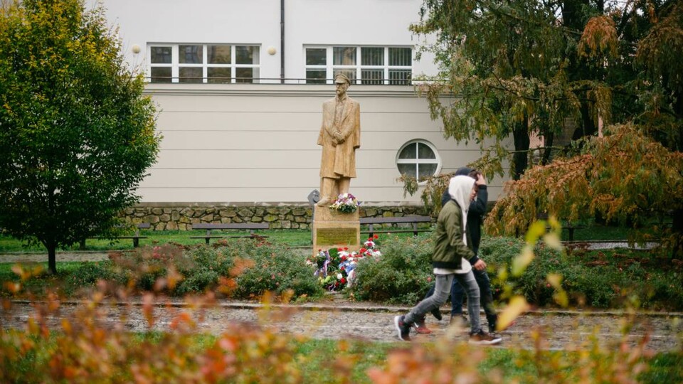 Veškerý ten parčík