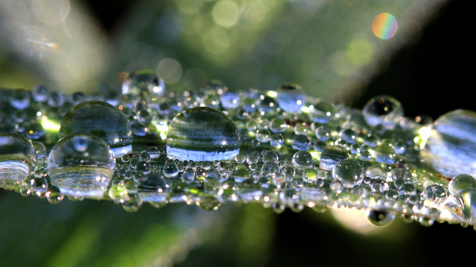 Voda v krajině, voda v tělech