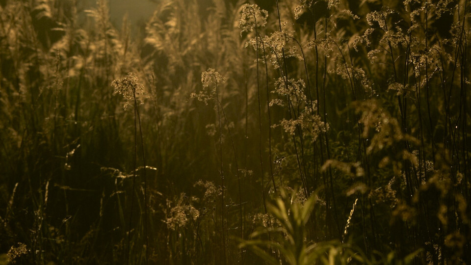 Zažíváme dystopii už dnes?