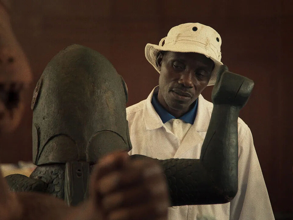 Dokumenty na Berlinale a konec antropocentrismu