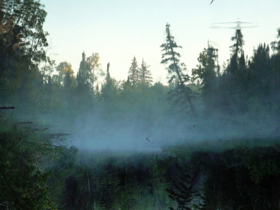 Hrůza, krása a mimozemšťané. Peter Mettler