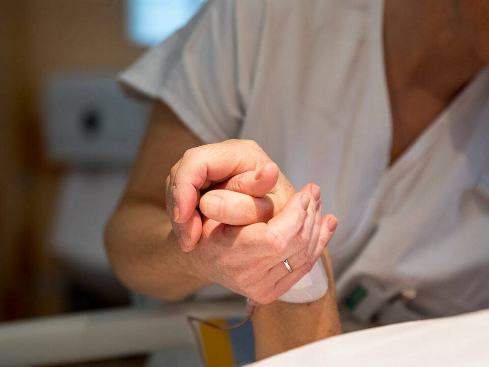 Jednotka intenzity dokumentu