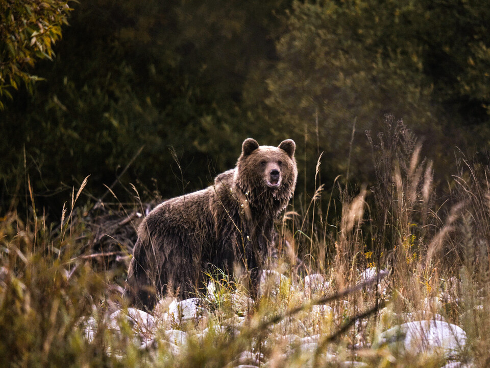 Miro Remo. Co jsme vybudovali, zase ničíme