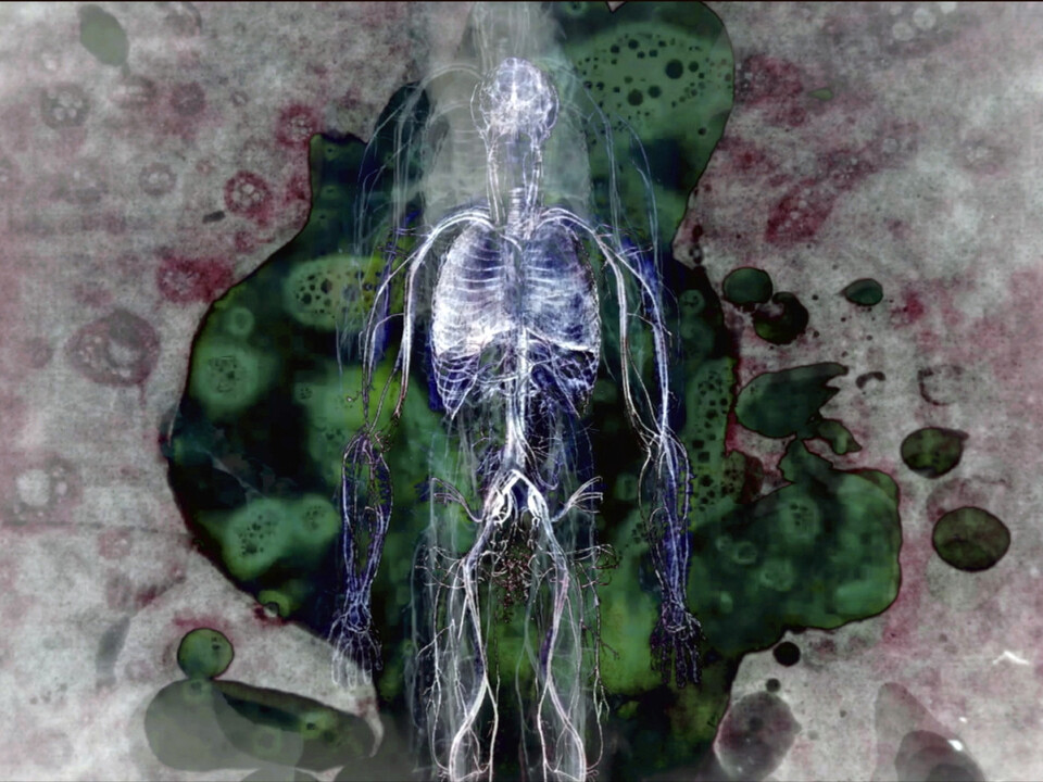 Nenechte si ujít na Ji.hlavě