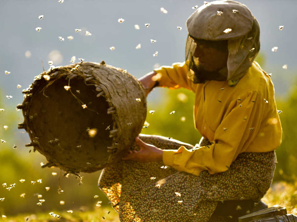 Neodvratný čas tiché apokalypsy