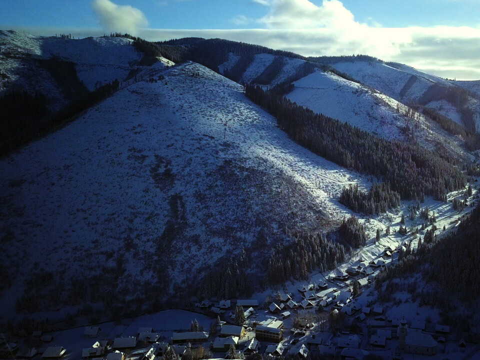 Zuzana Piussi. Hlas lesa